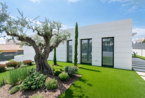 Nouvelle construction - Villa - Molina De Segura