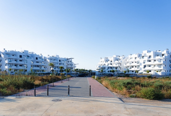 Obra nueva - Apartamento / piso - Torre-Pacheco