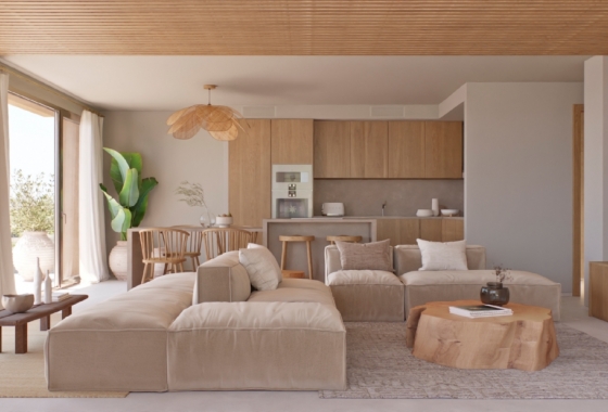 Obra nueva - detached - Lliber