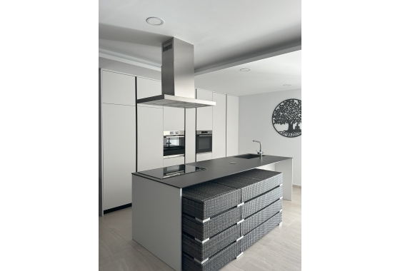 New Build - detached - Pinoso