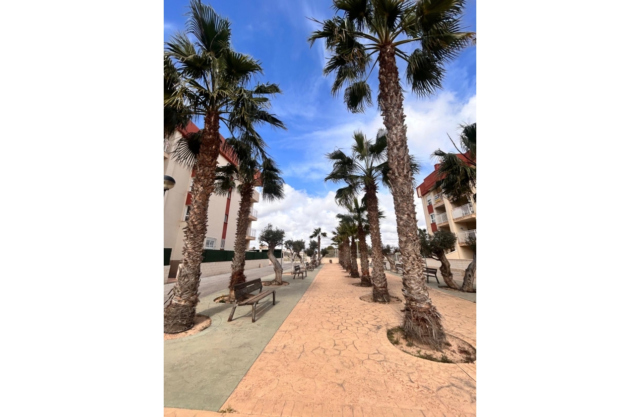 Obra nueva - Apartamento / piso - Orihuela Costa - Orihuela