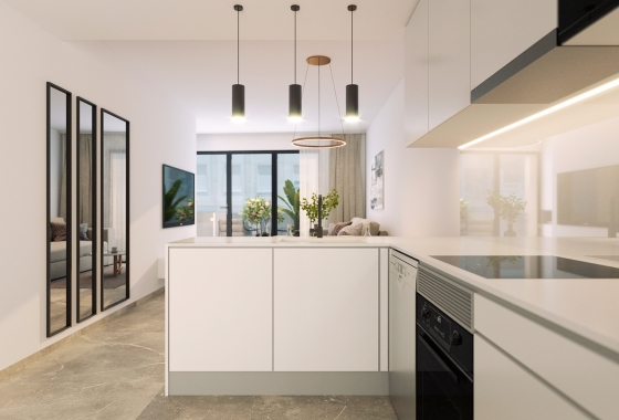 Obra nueva - ground-floor - Torrevieja