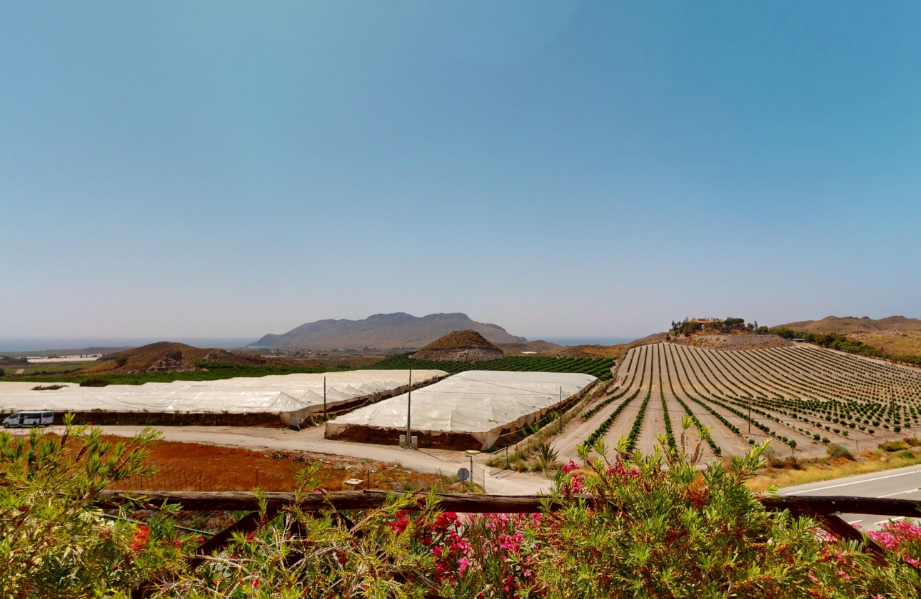 Nouvelle construction - Villa - Aguilas