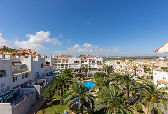 Resale - Apartment / flat - La Mata