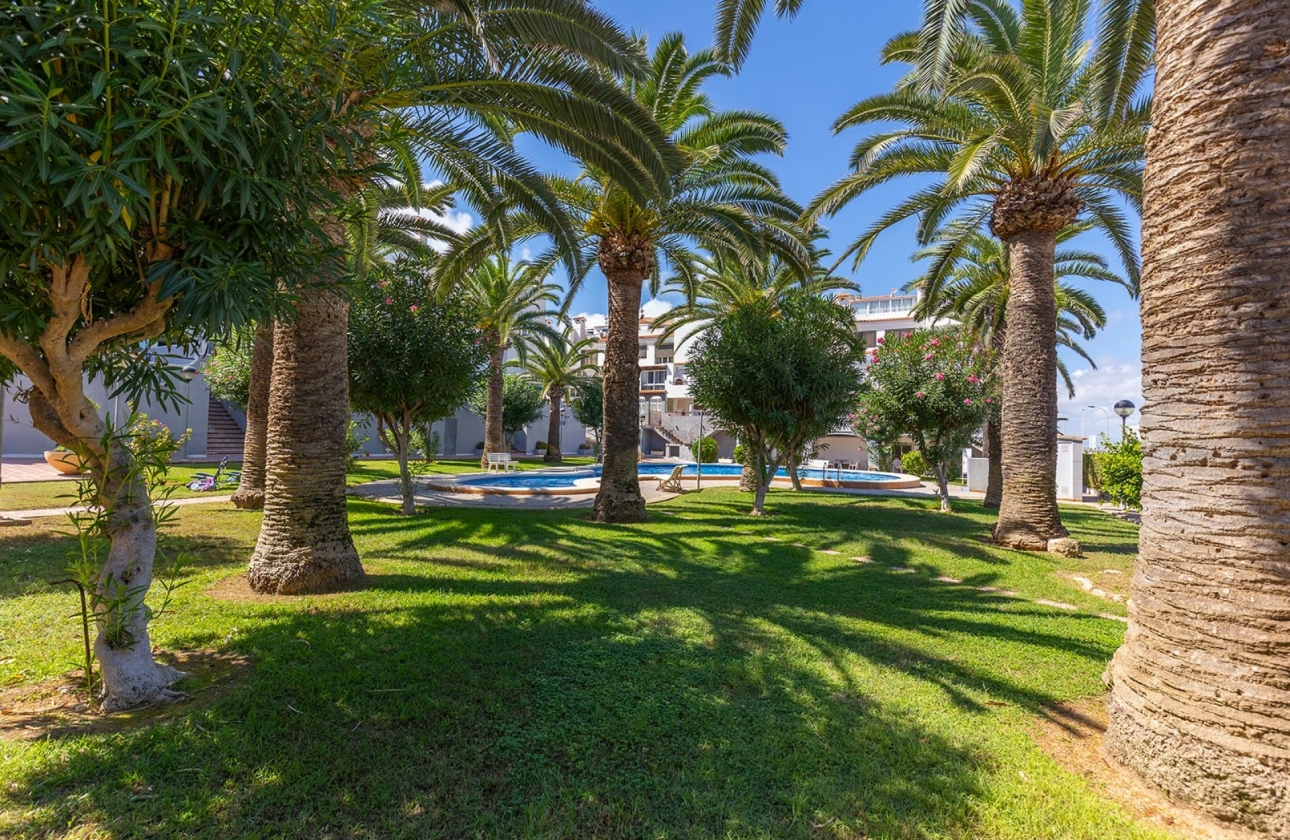 Resale - Apartment / flat - La Mata