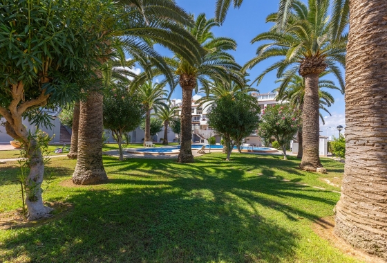 Resale - Apartment / flat - La Mata