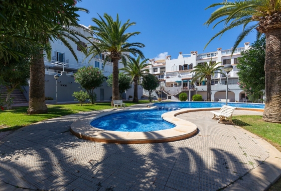 Resale - Apartment / flat - La Mata