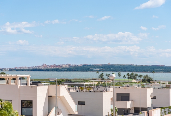 Obra nueva - Villa - Los Montesinos