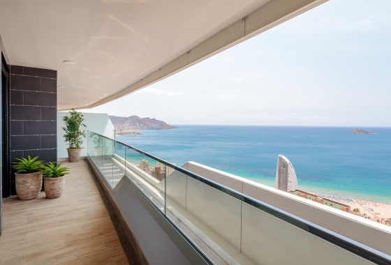 Obra nueva - Apartamento / piso - Benidorm