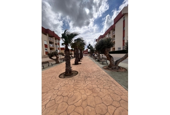 Obra nueva - Apartamento / piso - Orihuela Costa - Orihuela