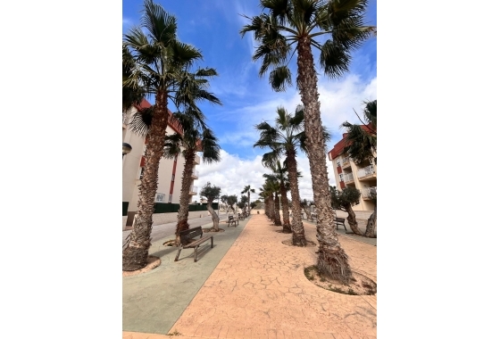 Obra nueva - Apartamento / piso - Orihuela Costa - Orihuela