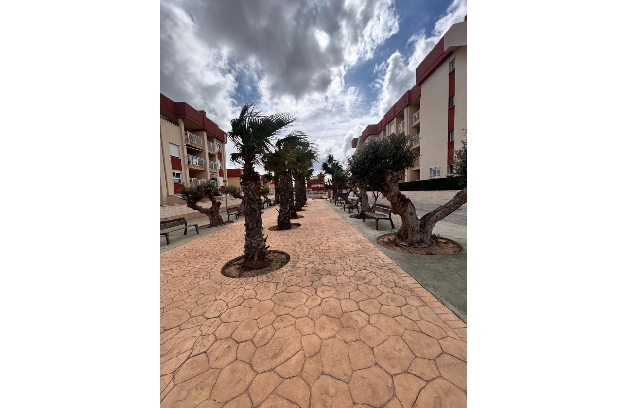 Obra nueva - Ático - Orihuela Costa - Orihuela