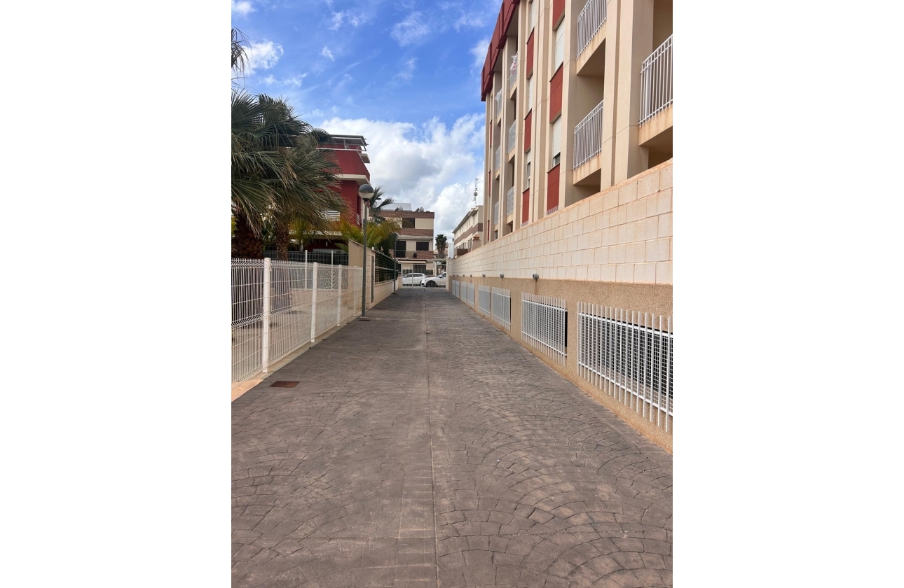 Obra nueva - Ático - Orihuela Costa - Orihuela