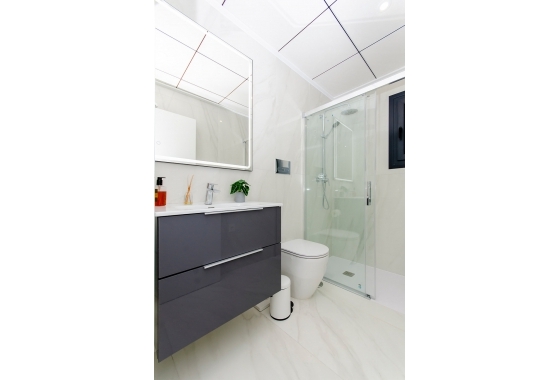 Obra nueva - detached - Orihuela Costa - Orihuela