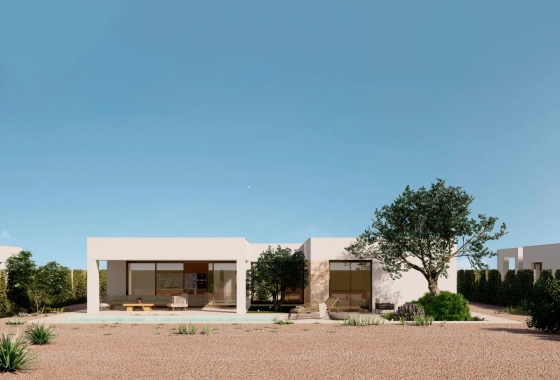 Obra nueva - detached - Fuente Álamo