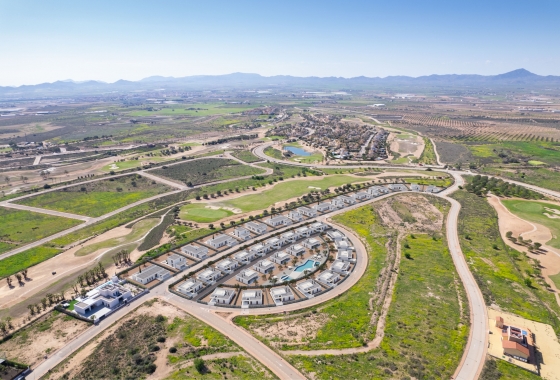 Obra nueva - detached - Fuente Álamo