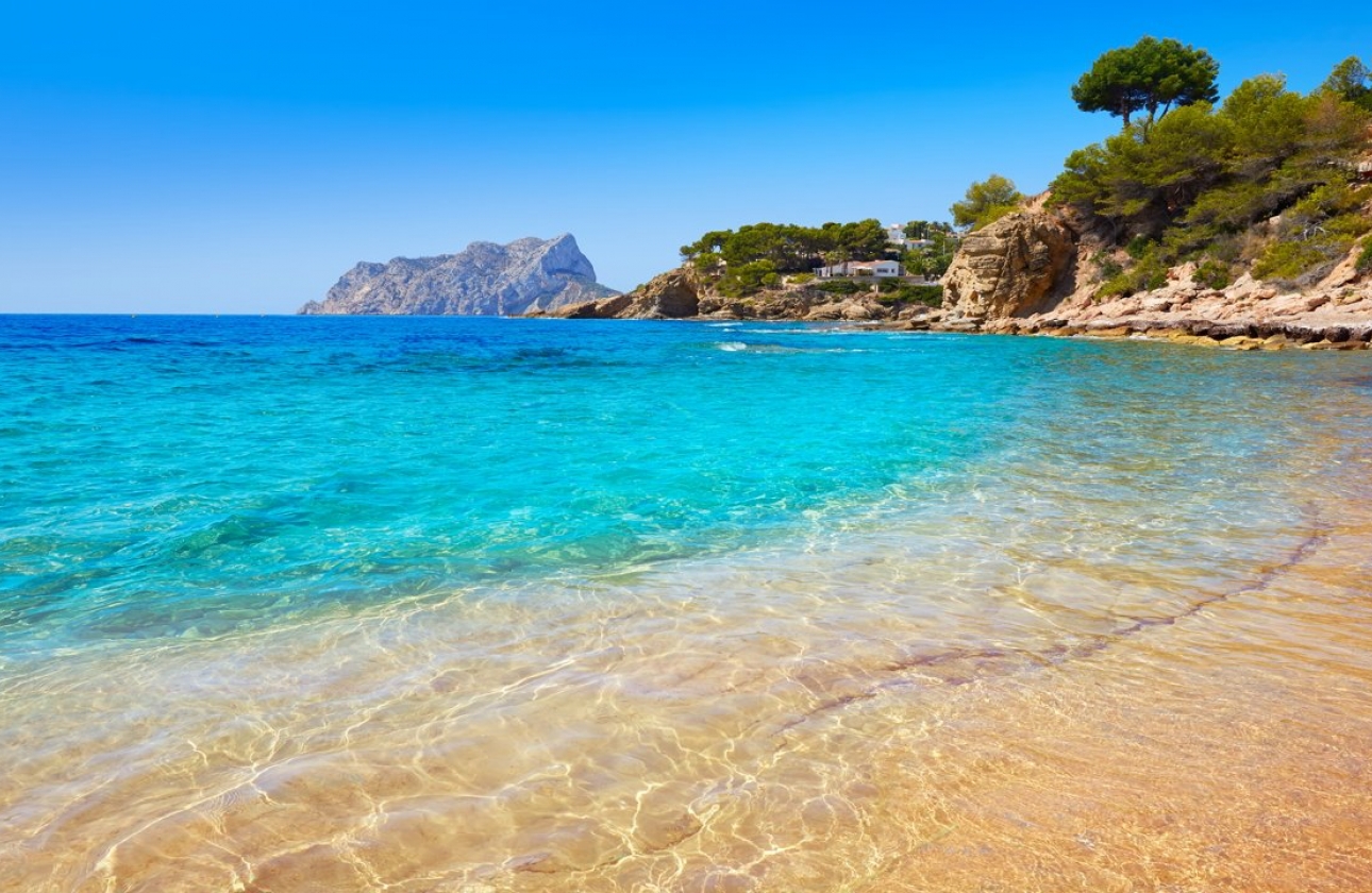 Obra nueva - Ground floor apartment - Algorfa