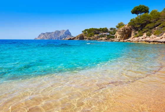 Obra nueva - Ground floor apartment - Algorfa