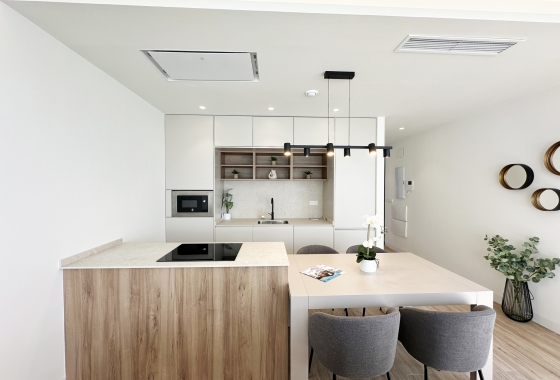 New Build - detached - Torre de la Horadada