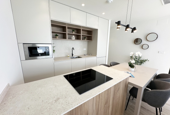 New Build - detached - Torre de la Horadada