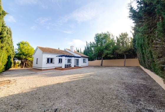 New Build - Villa - Fuente Álamo