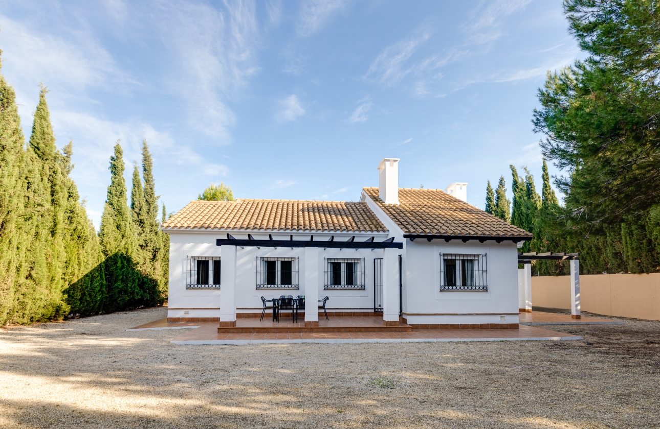 Obra nueva - Casa - Fuente Álamo