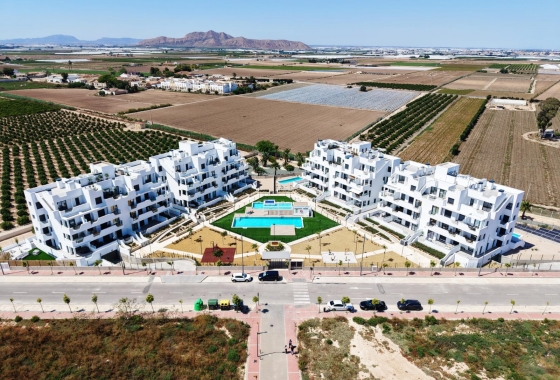 New Build - Ground floor apartment - Torre Pacheco - Torre-Pacheco