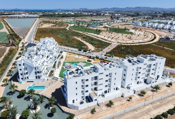 New Build - Ground floor apartment - Torre Pacheco - Torre-Pacheco