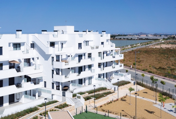 New Build - Ground floor apartment - Torre Pacheco - Torre-Pacheco