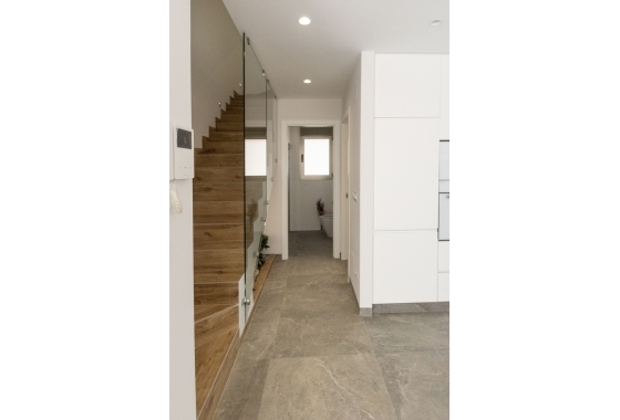 Obra nueva - detached - Pilar de la Horadada