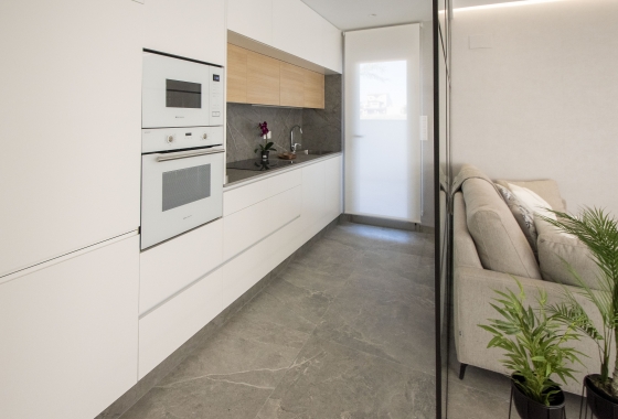 Obra nueva - detached - Pilar de la Horadada