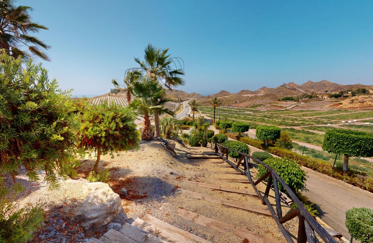 Nouvelle construction - Villa - Aguilas