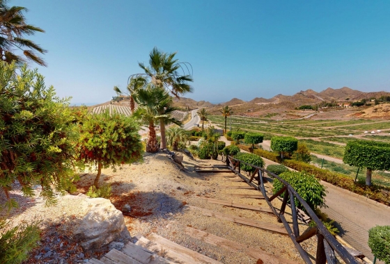 Nouvelle construction - Villa - Aguilas