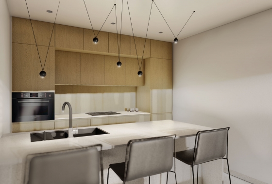 Obra nueva - Ático - Guardamar del Segura - Guardamar Del Segura