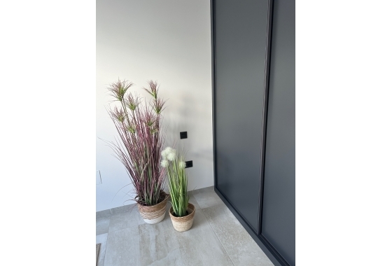 Reventa - Detached House / Villa - Ciudad Quesada - Rojales - Ciudad Quesada