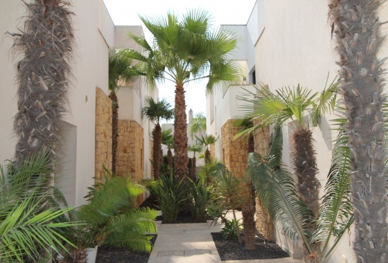 Resale - Villa - Ciudad Quesada - Doña Pepa