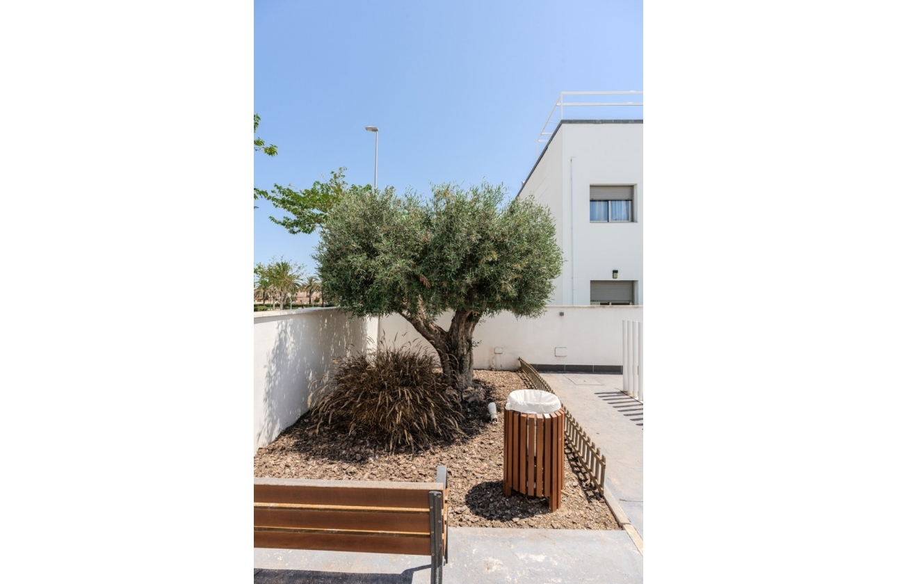 Revente - Appartement - Torre de la Horadada