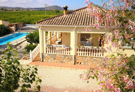 Resale - Finca / Country Property - Orihuela Costa - La Campaneta