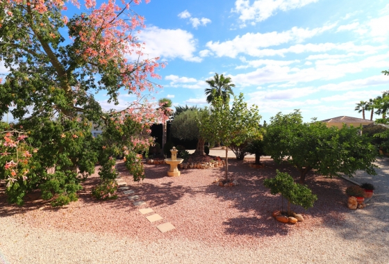 Resale - Finca / Country Property - Orihuela Costa - La Campaneta