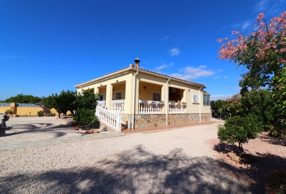 Resale - Finca / Country Property - Orihuela Costa - La Campaneta