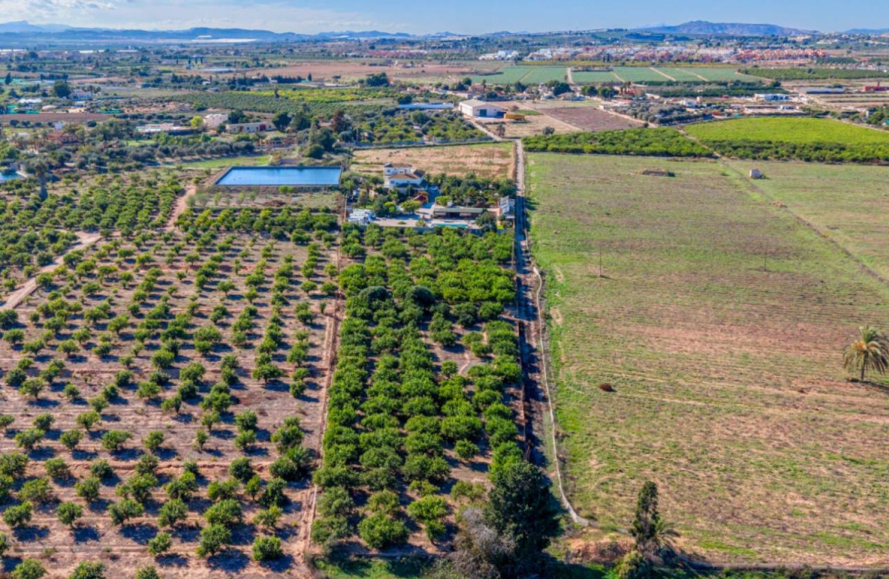 Revente - Finca / Country Property - Los Montesinos