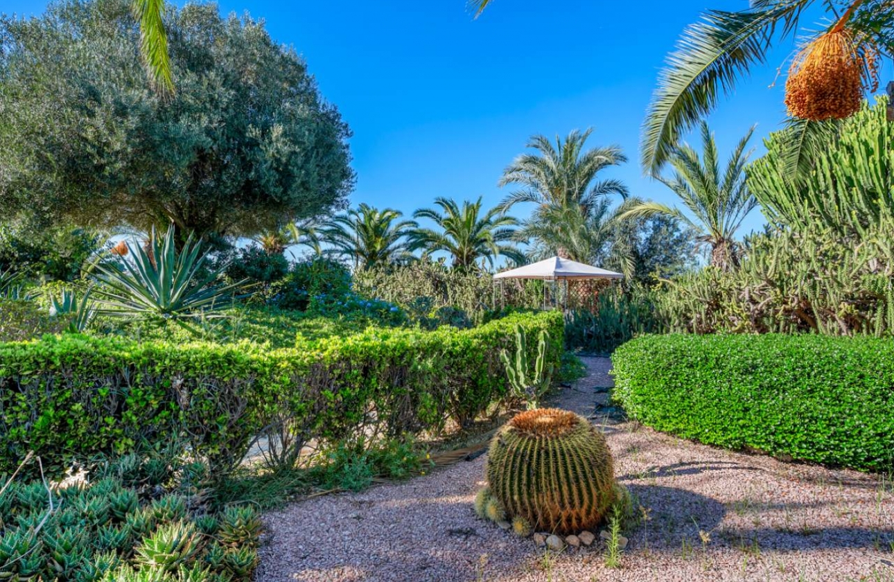 Revente - Finca / Country Property - Los Montesinos