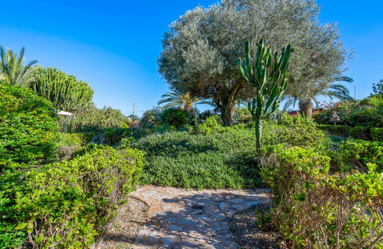 Revente - Finca / Country Property - Los Montesinos