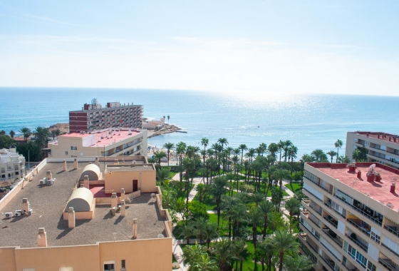 Resale - Apartment / flat - Torrevieja - Playa Los Locos