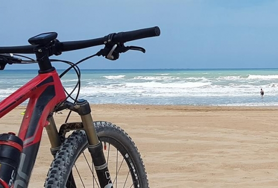 Resale - Villa - Algorfa - La finca Golf