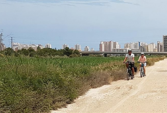 Resale - Villa - Algorfa - La finca Golf