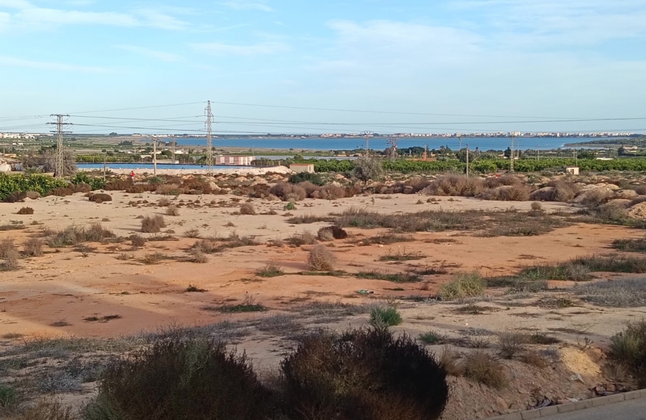 Resale - Villa - Los Montesinos - La Herrada