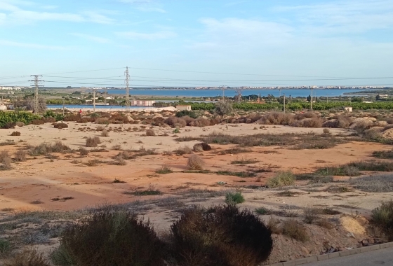 Resale - Villa - Los Montesinos - La Herrada