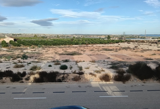 Resale - Villa - Los Montesinos - La Herrada