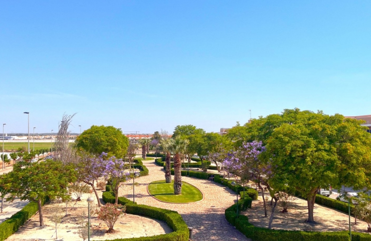 New Build - Apartment / flat - Pilar de la Horadada - Torre de la Horadada